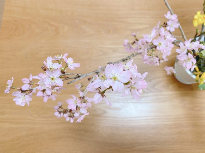 avocado-dye-cherry-blossoms